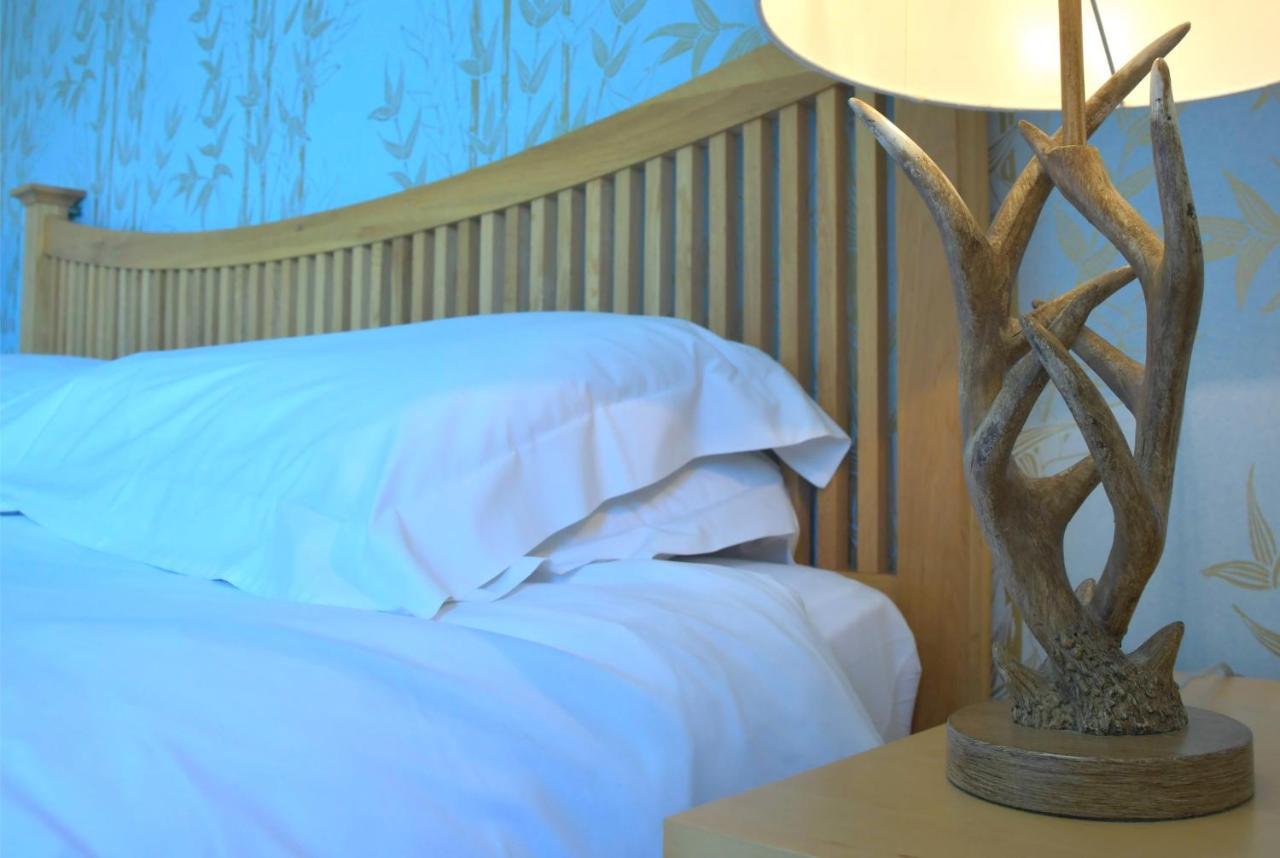 No12 Bed And Breakfast, St Andrews Extérieur photo