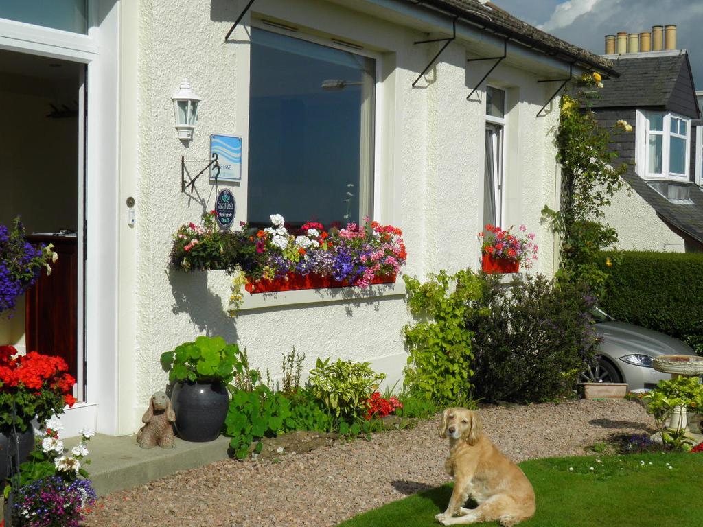 No12 Bed And Breakfast, St Andrews Extérieur photo