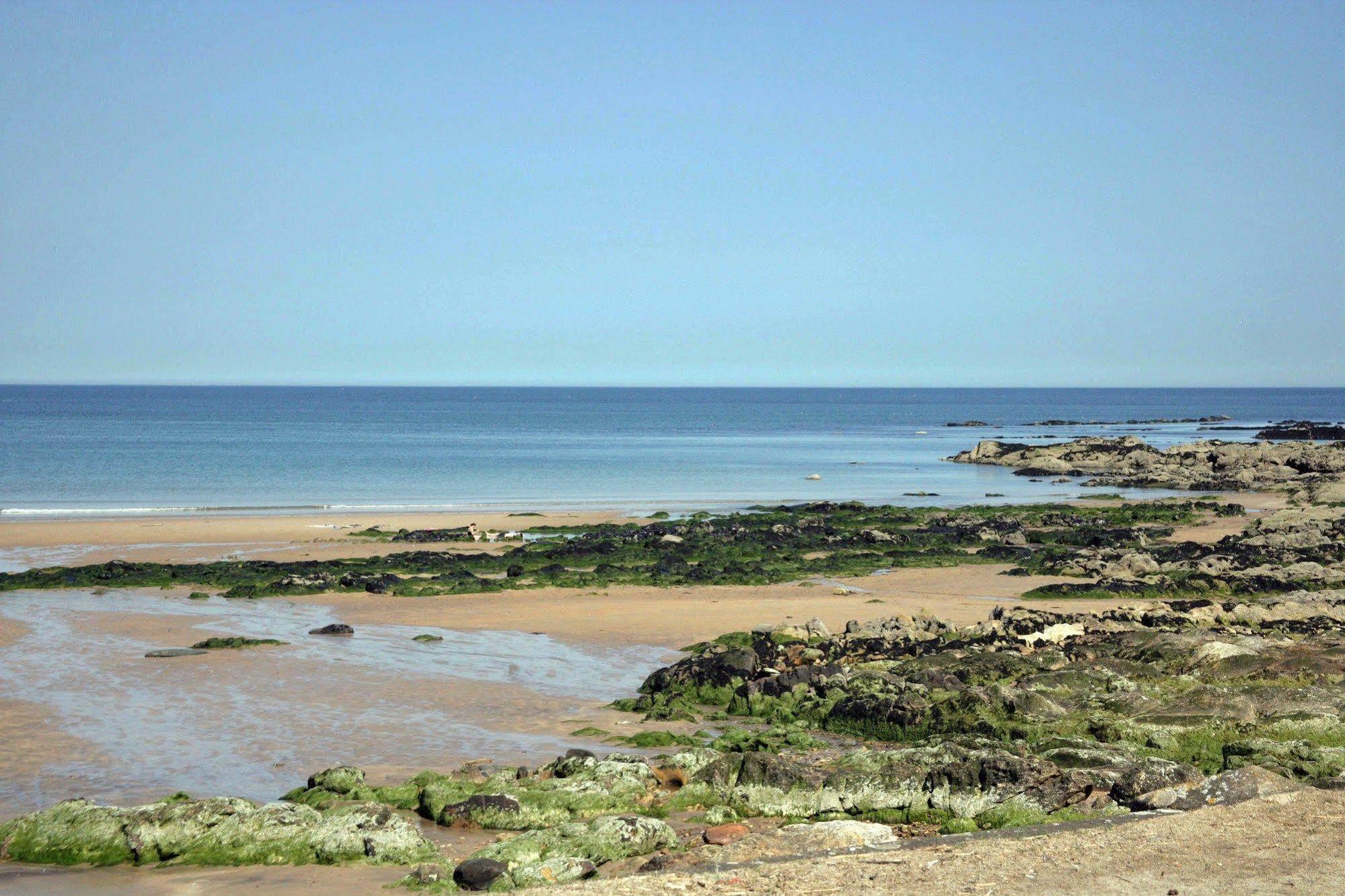 No12 Bed And Breakfast, St Andrews Extérieur photo